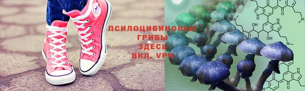 PSILOCYBIN Кинешма