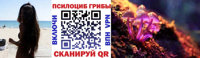 Купить  Рубцовск  Галлюциногенные грибы MAGIC MUSHROOMS 